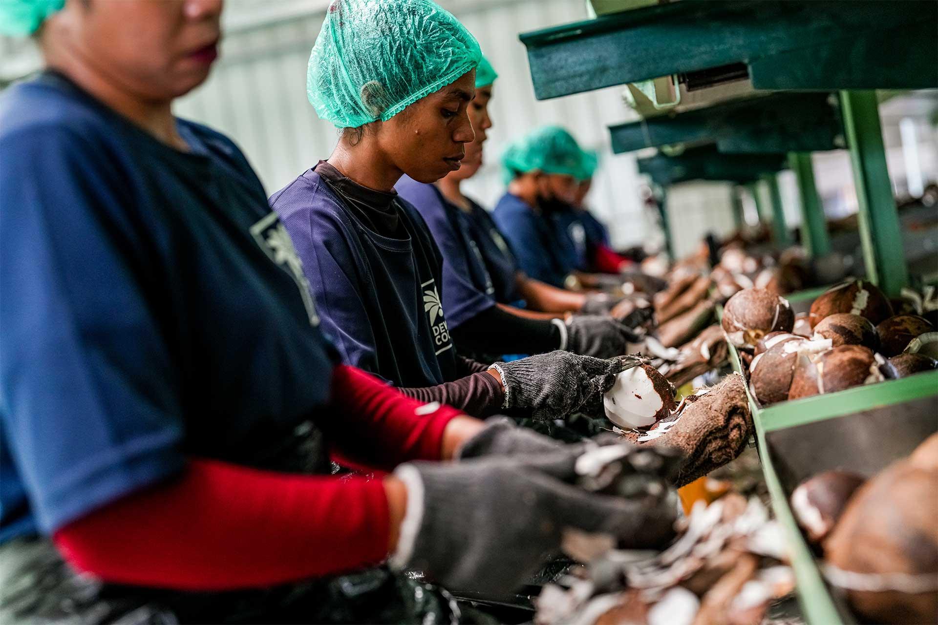 Perusahaan Ini Ubah Sabut Kelapa Jadi Bahan Bakar Terbarukan